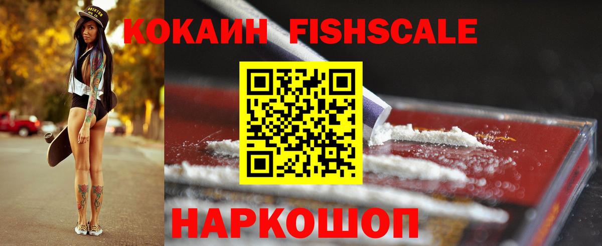 COCAIN Fish Scale  COCAIN Fish Scale  КОКАИН  Вход с VPN  Кузнецк 