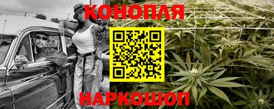 прущие грибы Будённовск