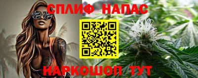 прущие грибы Будённовск