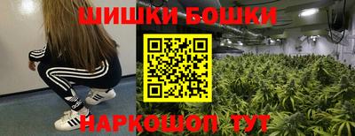 прущие грибы Будённовск