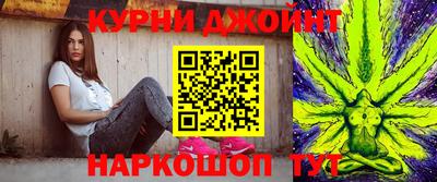 прущие грибы Будённовск