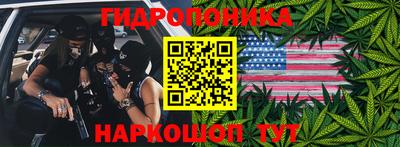 прущие грибы Будённовск
