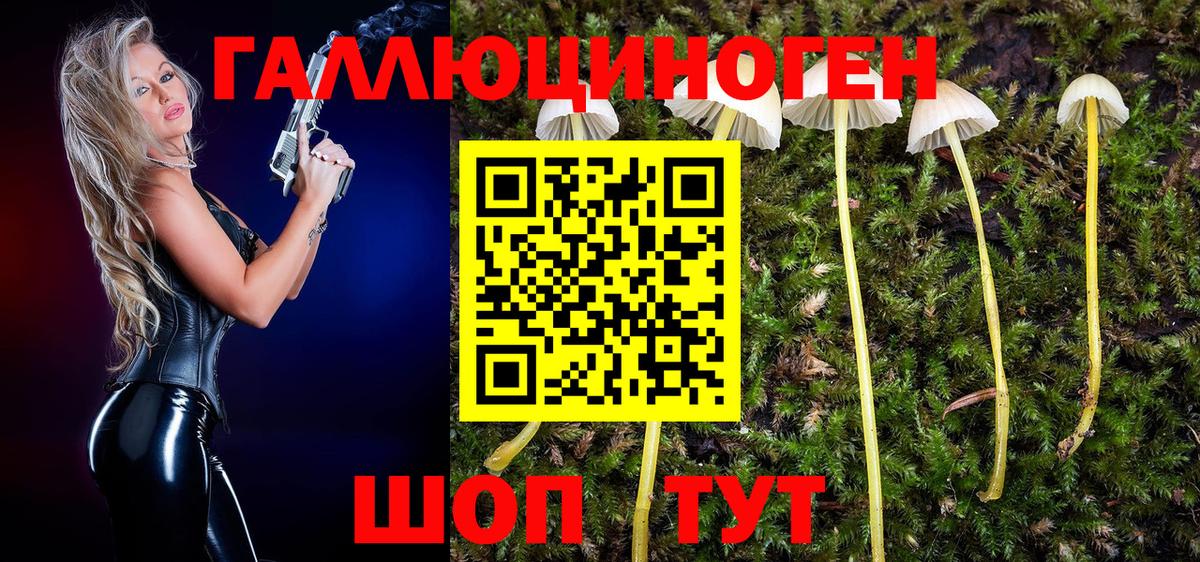 Псилоцибиновые грибы ЛСД Кузнецк